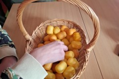 590245514_1419035956893877_4304411431746721601_n