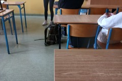 DORADZTWO ZAWODOWE 
