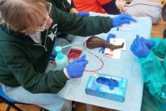 630655408_1478676574263148_5093331294544665572_n