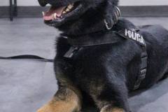 587762033_1431117995685673_5094387469068392885_n