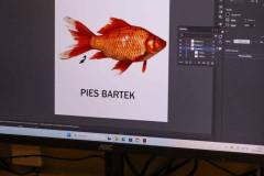 598413985_1431117575685715_6144546751934779977_n