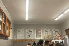 600282211_1429530005844472_1132268505818250856_n