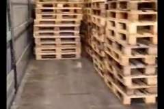 facebook_1654009712802_6937419554448419074
