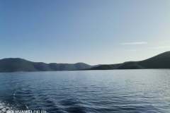 140675752_4234959896534151_7091188749812471649_o