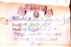 Dokument-12_11