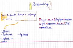 Dokument-12_19