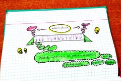 Dokument-12_2