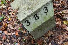 846594307_3630226130490940_6829465743556978233_n.png