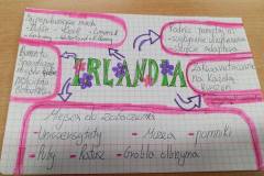 Lekcja zdalna z reprezentantką projektu „Irlandia w szkole”