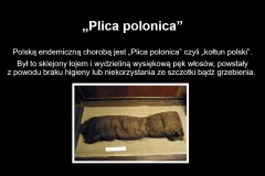 Slide5