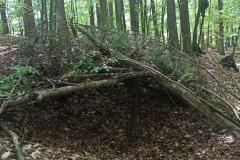 IMG-20210622-WA0046