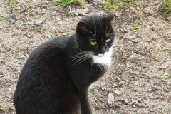 602313812_1433296875467785_8901640313116470302_n