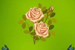 facebook_1648017745229_6912287420885944080