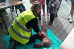 „Przygarnij burka i kocurka"