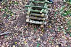 IMG-20211003-WA0003