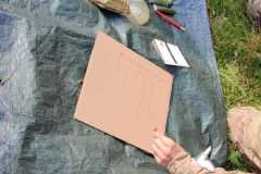 IMG-20211003-WA0019