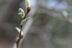 Photo_1588240320265