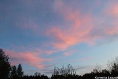 Photo_1588240320877