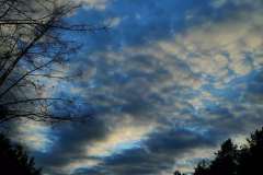 Photo_1588240664664