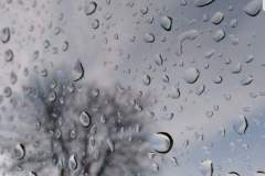 received_173303873928522