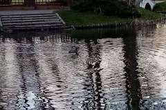 received_3064116960333827