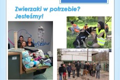 Slide8