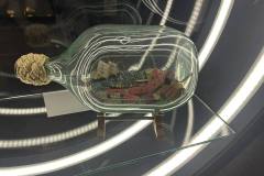 590741974_1548201892991812_832822784931659861_n