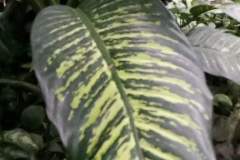 4141656565298201420