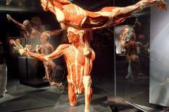 654340542_1511599137637558_6870307082539321504_n