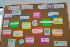 z ekologią na ty - start