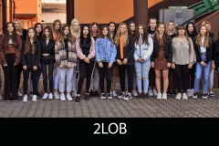 2-LOB