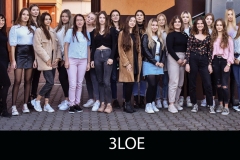 3-LOE