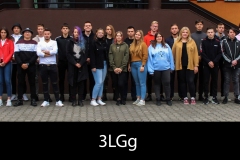 3LG-kopia