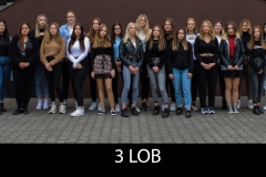 3LOB