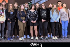 3WHg