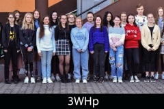 3WHp