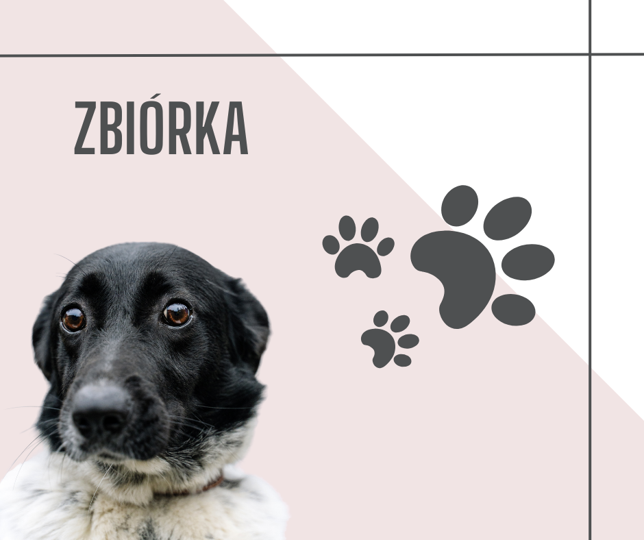 brązowy prosty informacyjny Wpis na Facebooku