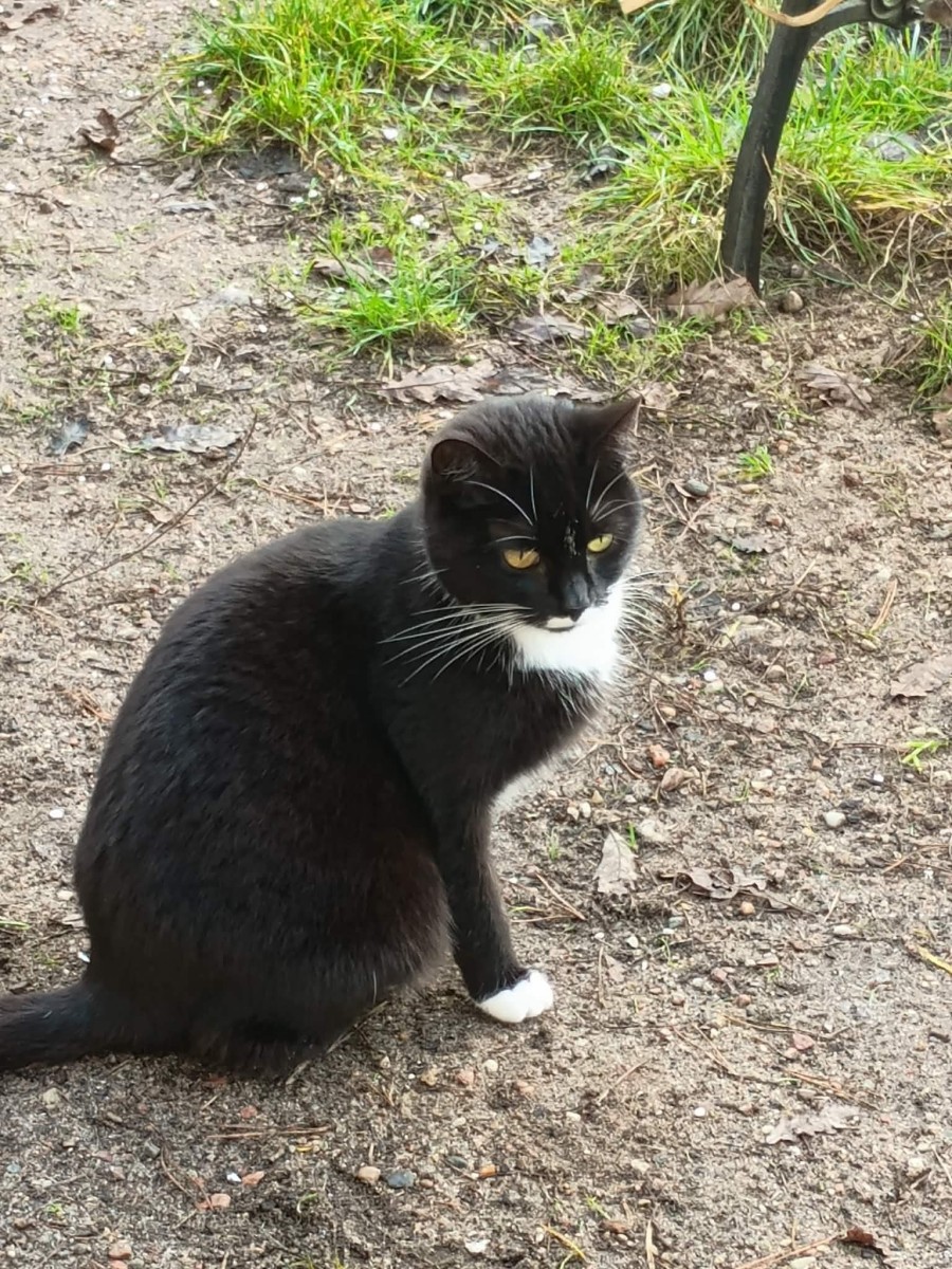 602313812_1433296875467785_8901640313116470302_n